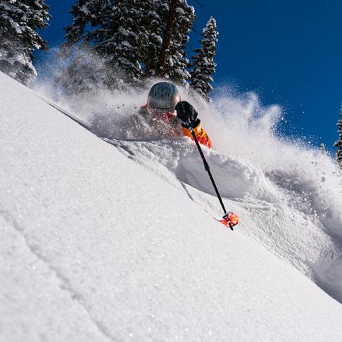 Leki | ALL | Bild | 2023-10 | Ski