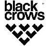 Black Crows