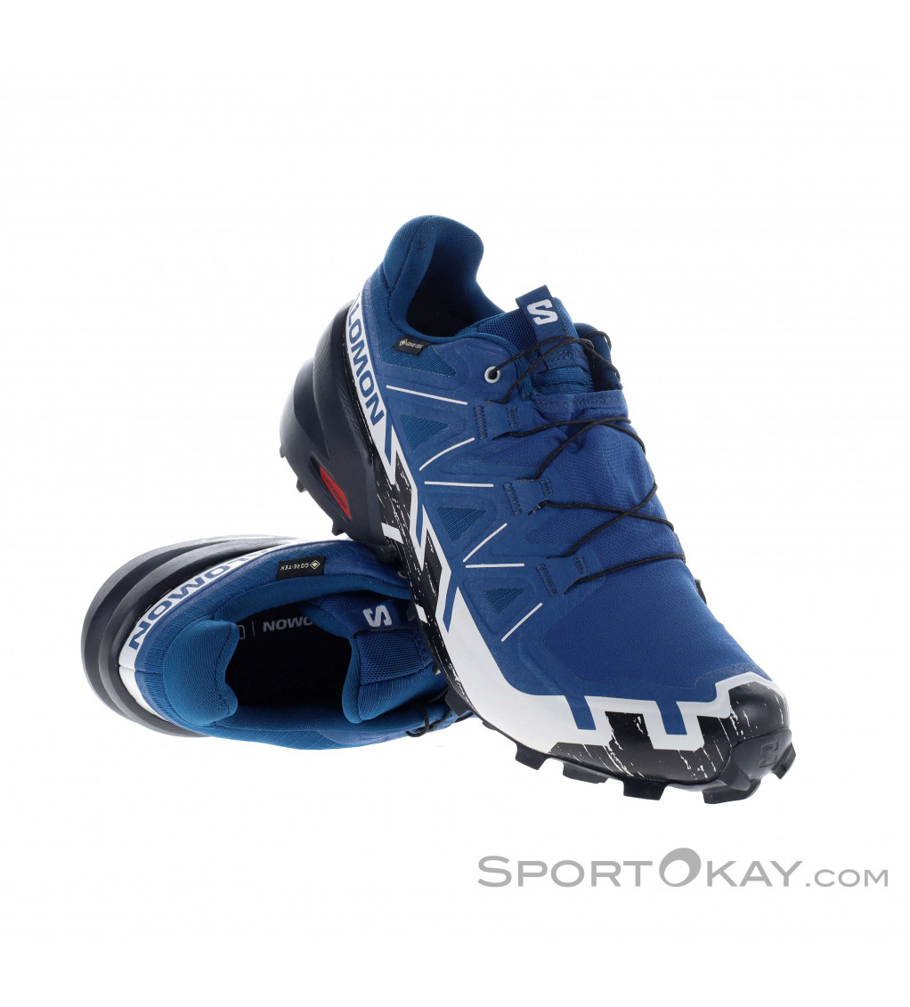 Salomon Speedcross 6 GTX Herren Traillaufschuhe Gore-Tex