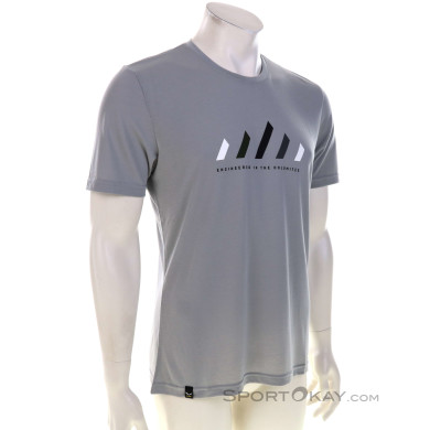 Salewa Pure Stripes Dry Herren T-Shirt-Grau-M