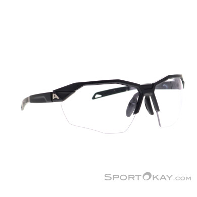 Alpina Twist Six HR Sportbrille-Schwarz-One Size