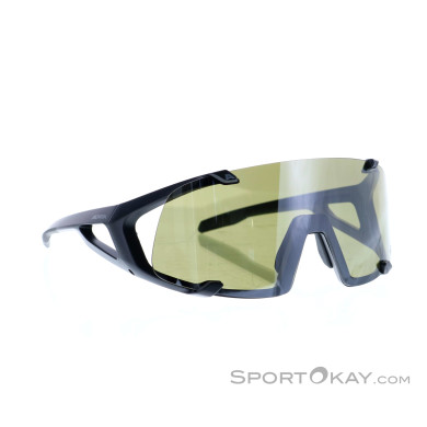 Alpina Hawkeye Q-Lite Sonnenbrille-Schwarz-One Size