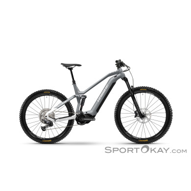 Haibike AllMTN 3 720Wh 29“/27,5“ 2023 E-Bike-Grau-XL