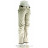 Scott Ultimate Dryo 20 Pant Damen Tourenhose-Mehrfarbig-M