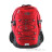 The North Face Borealis Classic 29l Rucksack-Rot-29