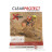 Clearprotect Safety Sticker Frame Pack Xtreme DH Schutzfolie-Weiss-One Size