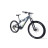 KTM Macina Kapoho 2972 29“/27,5“ 2020 E-Bike Endurobike-Grau-M