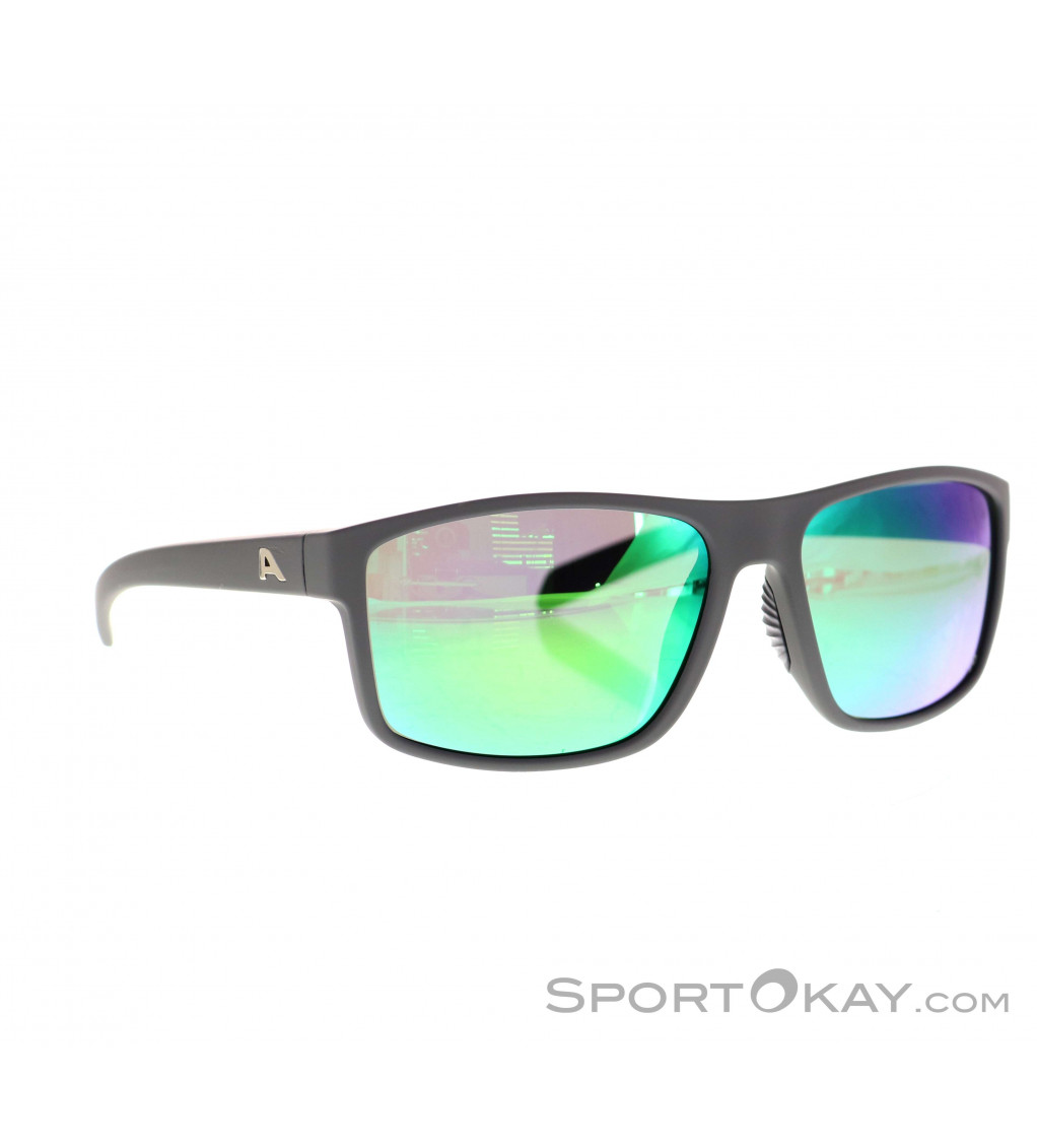 Alpina Nacan I Sunglasses
