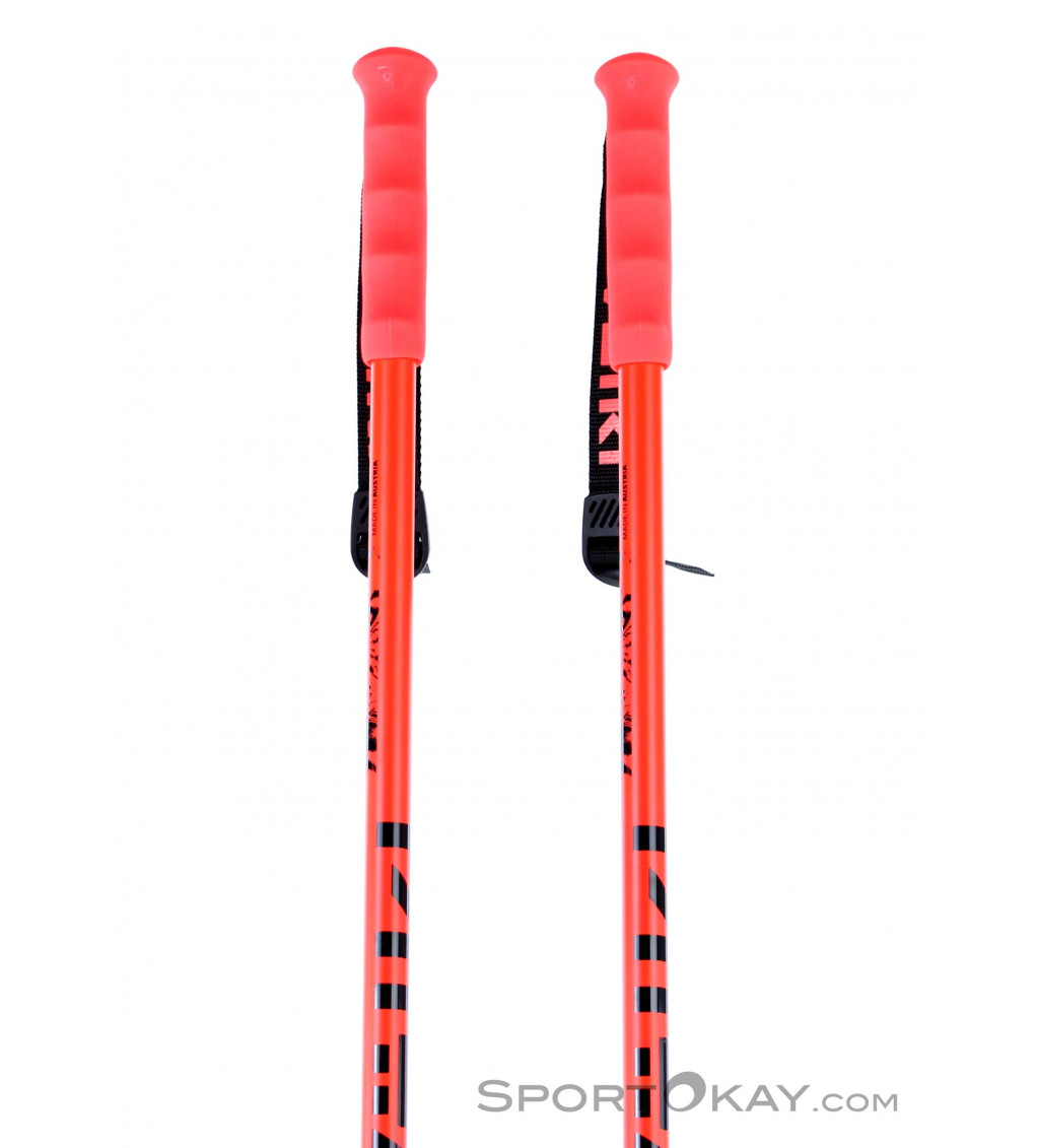 Völkl Speedstick Ski Poles