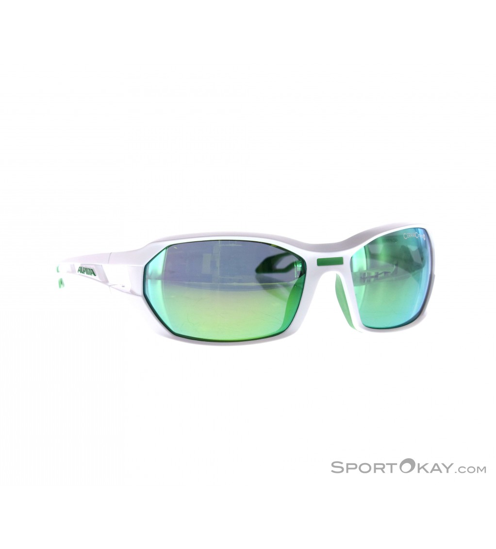 Alpina Berryn CM+ Sunglasses