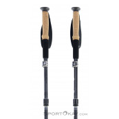 Alpine flz trekking poles sales
