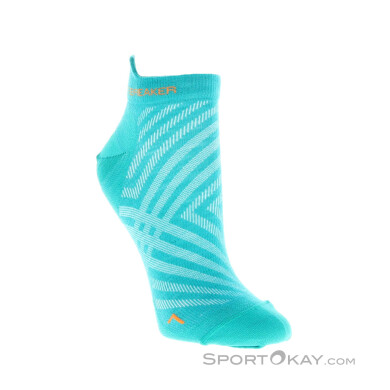 Icebreaker Run+ Ultralight Micro Women Socks