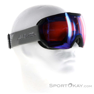 Alpina Phoes QHM Ski Goggles