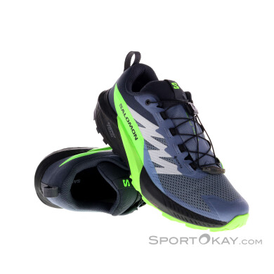 Salomon Sense Ride 5 GTX Mens Trail Running Shoes Gore-Tex