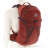 Gregory Citro 24l Backpack