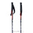 Völkl Speedstick Ski Poles