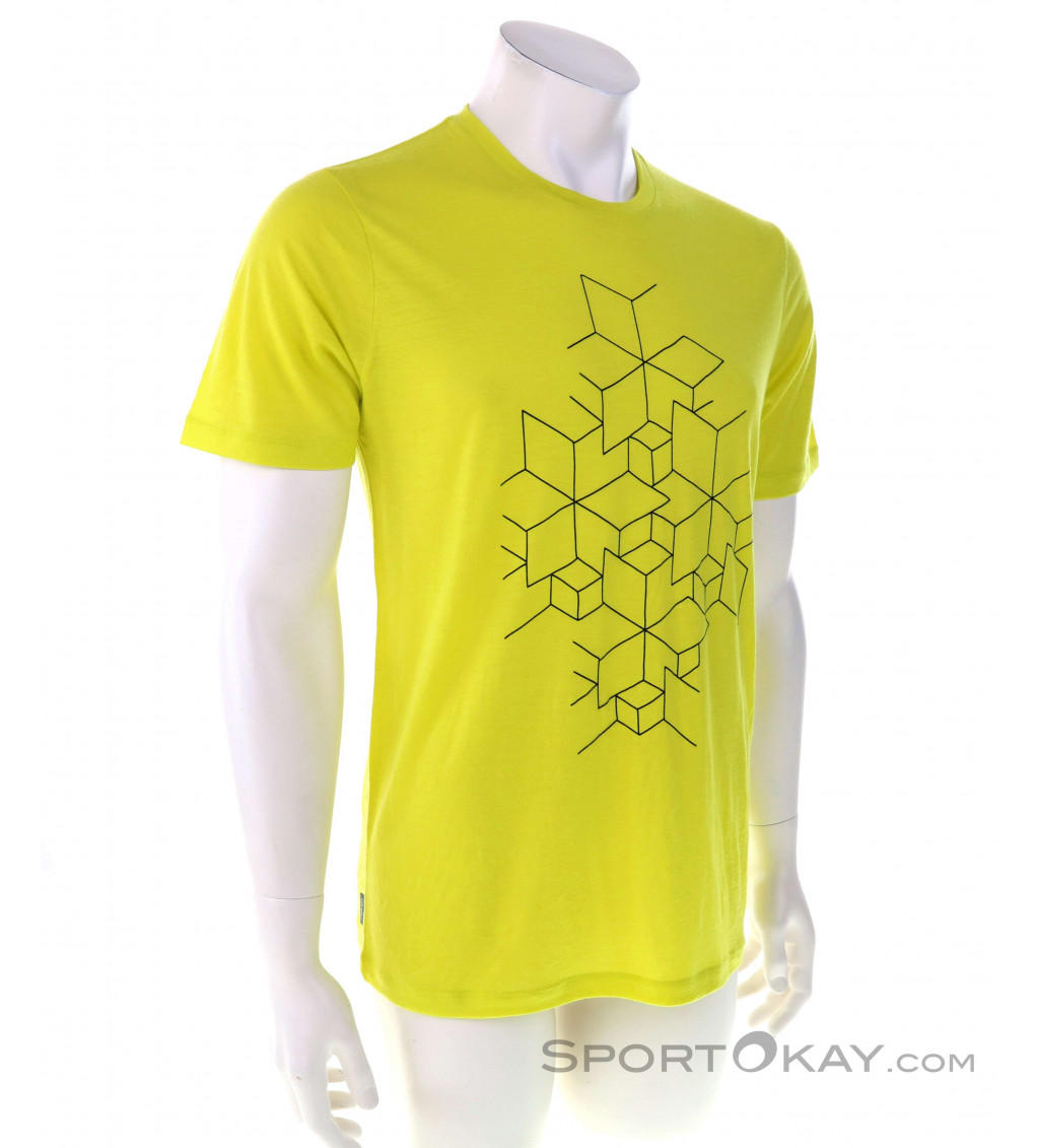 Icebreaker Tech Lite II SS Tee Snowflake Hommes T-shirt