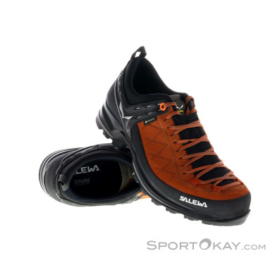 Salewa MTN Trainer 2 GTX Hommes Chaussures d'approche Gore-Tex