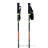 Fischer RC4 The Curv CF Ski Poles