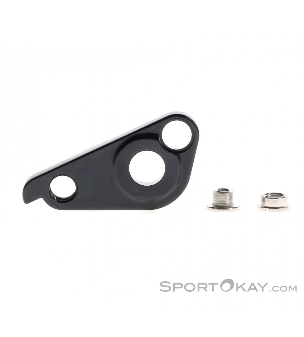 Giant glory shop derailleur hanger