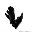 Dynafit Skitouring Pro Glove Handschuhe, Dynafit, Black, , Unisex, 0015-10065, 5637163588, 0, N3-18.jpg