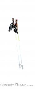 Leki Supreme Nordic Walking Poles, Leki, Schwarz, , Unisex, 0012-10034, 5637187567, 4028173044658, N3-13.jpg