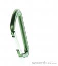 Austrialpin Accessory Carabiner, Austrialpin, Green, , , 0087-10003, 5637189182, 9006381510122, N2-07.jpg