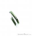Austrialpin Accessory Carabiner, Austrialpin, Green, , , 0087-10003, 5637189182, 9006381510122, N4-14.jpg