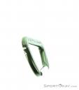 Austrialpin Accessory Carabiner, Austrialpin, Green, , , 0087-10003, 5637189182, 9006381510122, N5-05.jpg