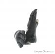 Black Diamond Mont Blanc Gloves, , Black, , Male,Female,Unisex, 0056-10140, 5637203077, , N1-06.jpg