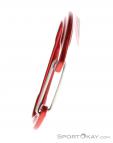 Salewa Hot G3 Wire Carabiner, , Red, , , 0032-10122, 5637286337, , N1-06.jpg