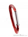 Salewa Hot G3 Straight Carabiner, , Red, , , 0032-10123, 5637318578, , N2-17.jpg