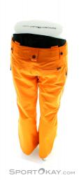 Mountain Force Carbon Pants Mens Ski Pants, Mountain Force, Orange, , Male, 0198-10031, 5637338163, 9020119201533, N3-13.jpg