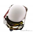 Oakley Crowbar MX Nemesis Goggle Downhill Goggles, Oakley, Multicolore, , Hommes,Femmes, 0064-10028, 5637356088, 888392011961, N4-04.jpg