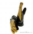 Ortovox Pro Leather Gloves, Ortovox, Beige, , Hommes,Femmes,Unisex, 0016-10229, 5637374898, 4250875229525, N2-07.jpg
