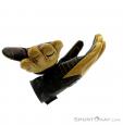 Ortovox Pro Leather Gloves, Ortovox, Beige, , Hommes,Femmes,Unisex, 0016-10229, 5637374898, 4250875229525, N5-20.jpg