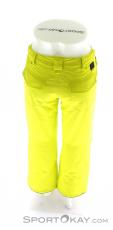 O'Neill Anvil Pant Boys Ski Pants, , Yellow, , Boy, 0199-10068, 5637393681, , N3-13.jpg