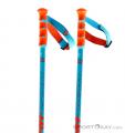 Scott Jib Ski Poles, , Blue, , Male,Female, 0023-10208, 5637395144, , N2-02.jpg