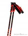 Scott Jib Ski Poles, , Black, , Male,Female, 0023-10208, 5637410076, , N2-07.jpg