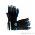 Dakine Falcon Glove Womens Gloves, Dakine, Čierna, , Ženy, 0200-10077, 5637425088, 0, N1-01.jpg