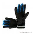 Dakine Falcon Glove Womens Gloves, Dakine, Čierna, , Ženy, 0200-10077, 5637425088, 0, N1-11.jpg