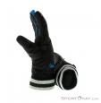 Dakine Falcon Glove Womens Gloves, Dakine, Čierna, , Ženy, 0200-10077, 5637425088, 0, N1-16.jpg