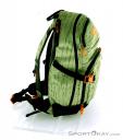 Dakine Heli Pro 20l Backpack, Dakine, Green, , Male,Female,Unisex, 0200-10074, 5637429576, 610934864724, N2-17.jpg
