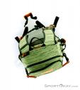 Dakine Heli Pro 20l Backpack, Dakine, Green, , Male,Female,Unisex, 0200-10074, 5637429576, 610934864724, N5-20.jpg