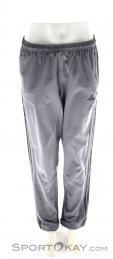 Adidas Clima 365 Pant Woven Mens Fitness Pants, adidas, Gris, , Hommes, 0002-10823, 5637458229, 4056561979640, N2-02.jpg