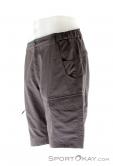 Salewa Fanes Seura 2 Dry Mens Outdoor Pants, Salewa, Sivá, , Muži, 0032-10200, 5637464292, 4053865461444, N1-06.jpg