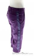 Salewa Frea CO Hemp ¾ Womens Climbing Pants, , Purple, , Female, 0032-10226, 5637465018, , N2-17.jpg