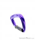 Black Diamond Nitron Bent Carabiner, , Purple, , , 0056-10305, 5637481567, , N5-05.jpg
