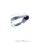 Black Diamond Nitron Screwgate Carabiner, Black Diamond, Purple, , , 0056-10318, 5637482753, 793661287148, N5-20.jpg