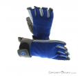 Black Diamond Crag Halbfinger Half-Finger Gloves, Black Diamond, Blue, , Unisex, 0056-10011, 5637483902, 793661177890, N2-02.jpg